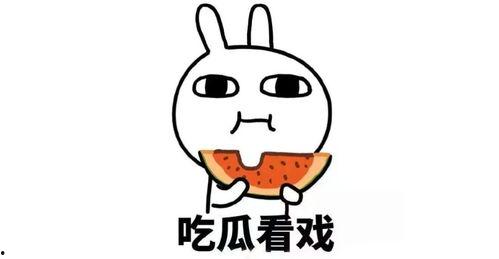 圈子娱乐吃瓜君,吃瓜君带你探秘明星幕后故事